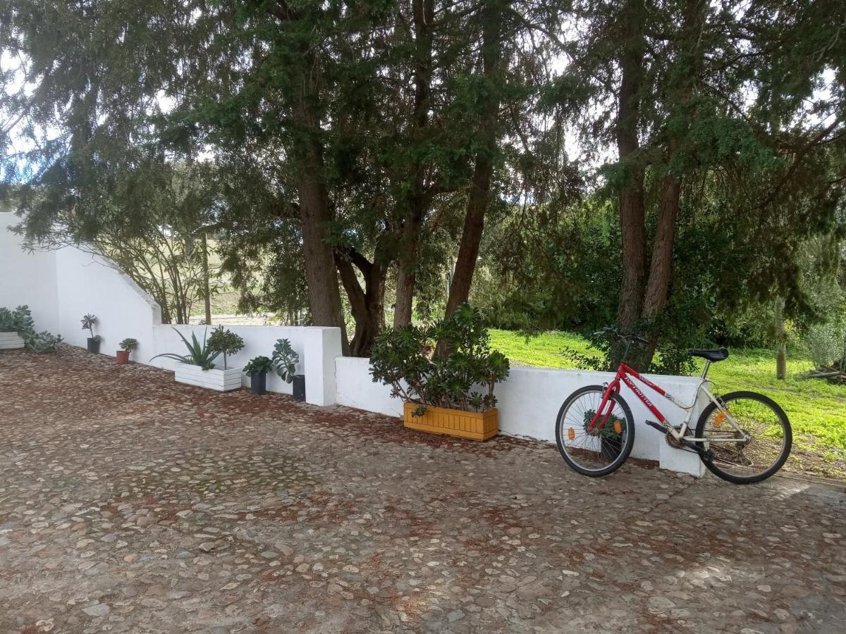 Villa Monte Da Samarra Avis Exterior foto