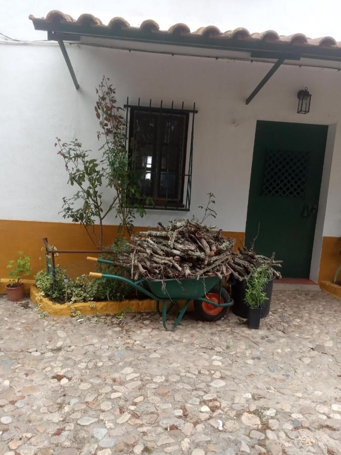 Villa Monte Da Samarra Avis Exterior foto