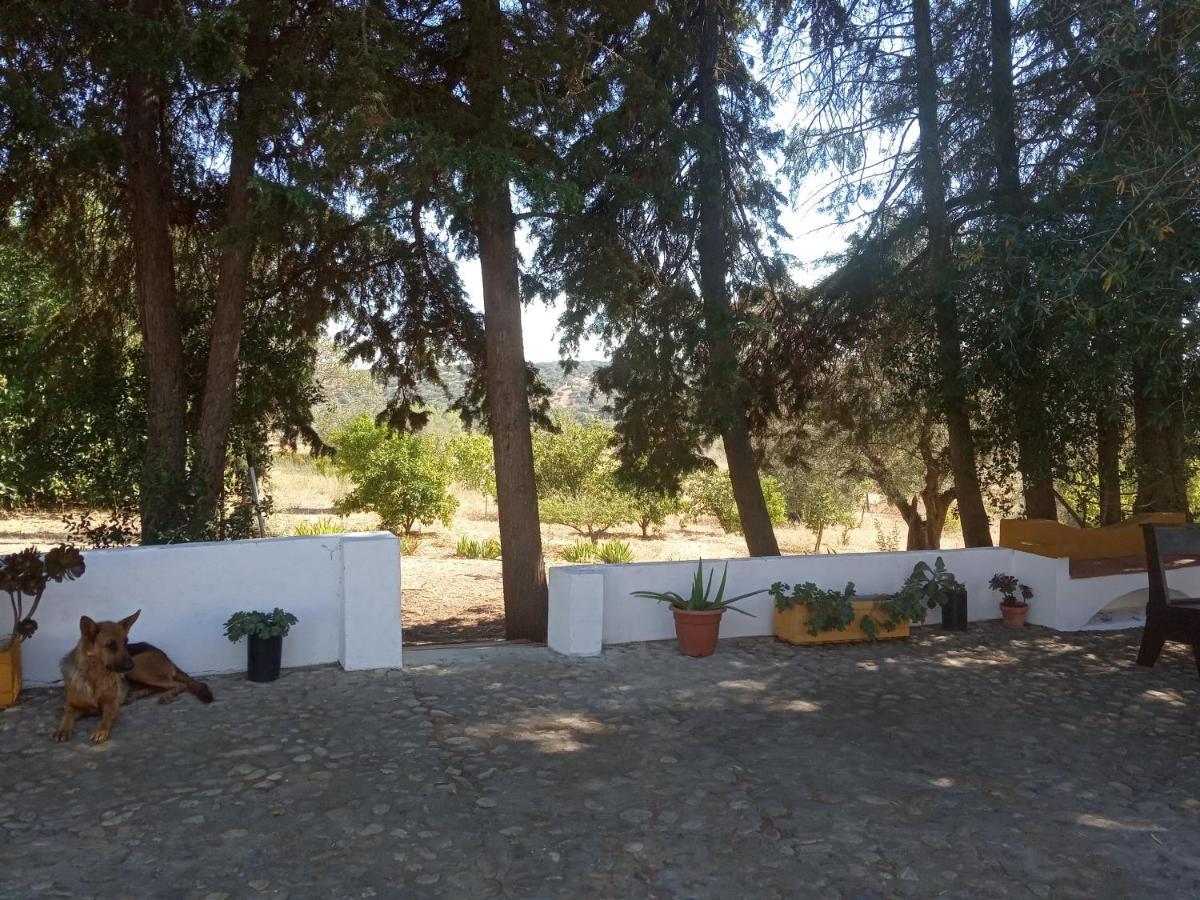Villa Monte Da Samarra Avis Exterior foto