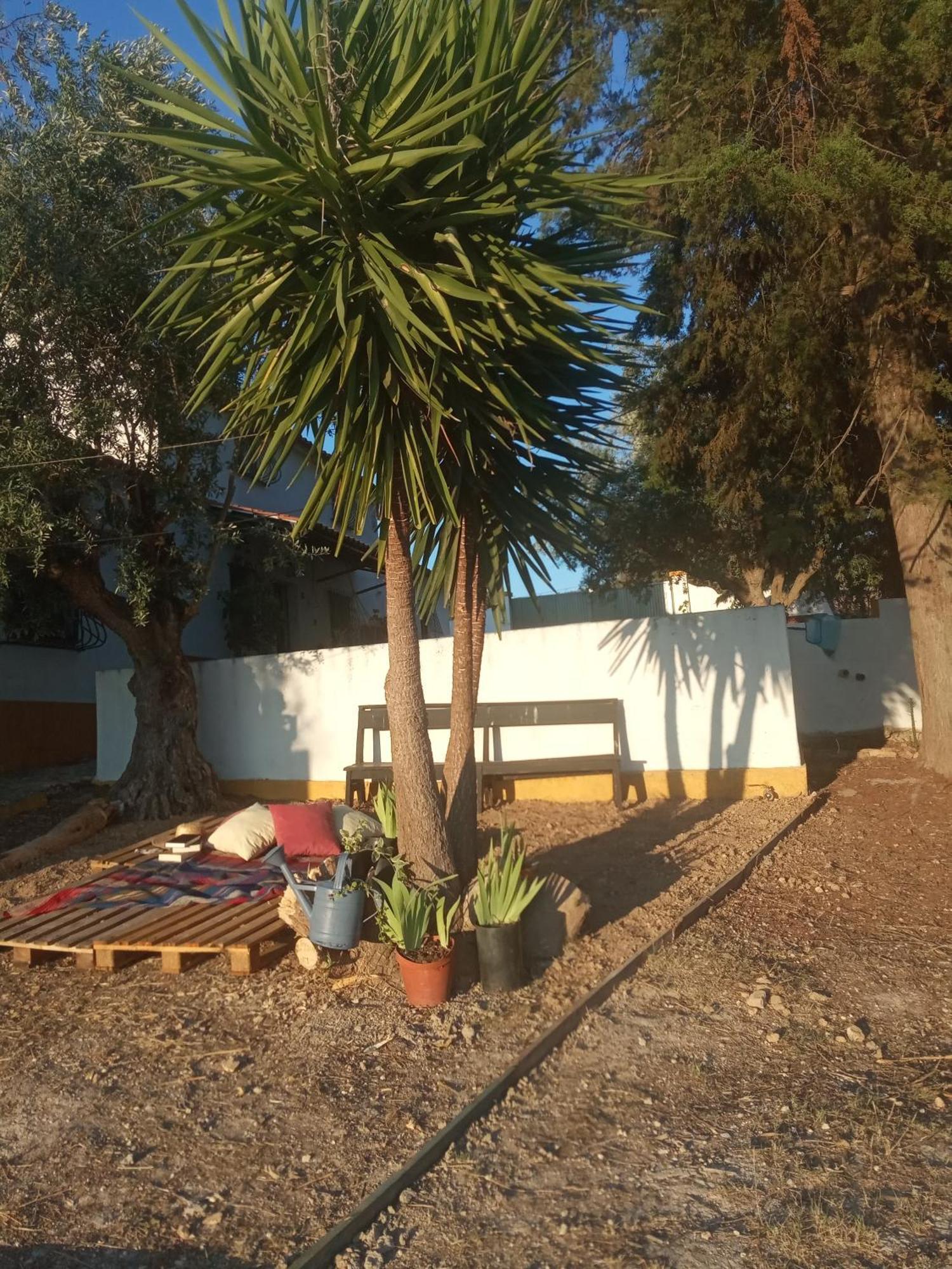 Villa Monte Da Samarra Avis Exterior foto