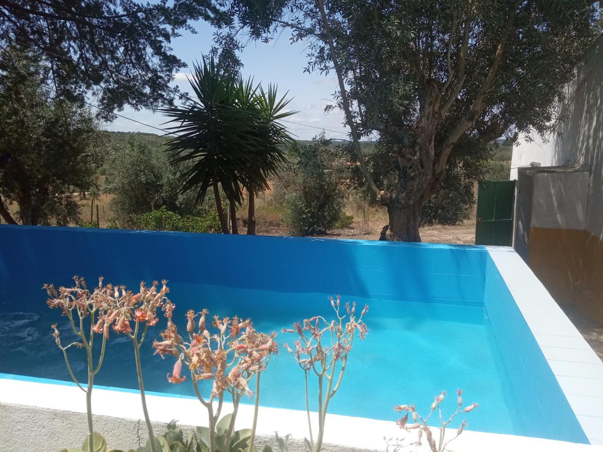 Villa Monte Da Samarra Avis Exterior foto