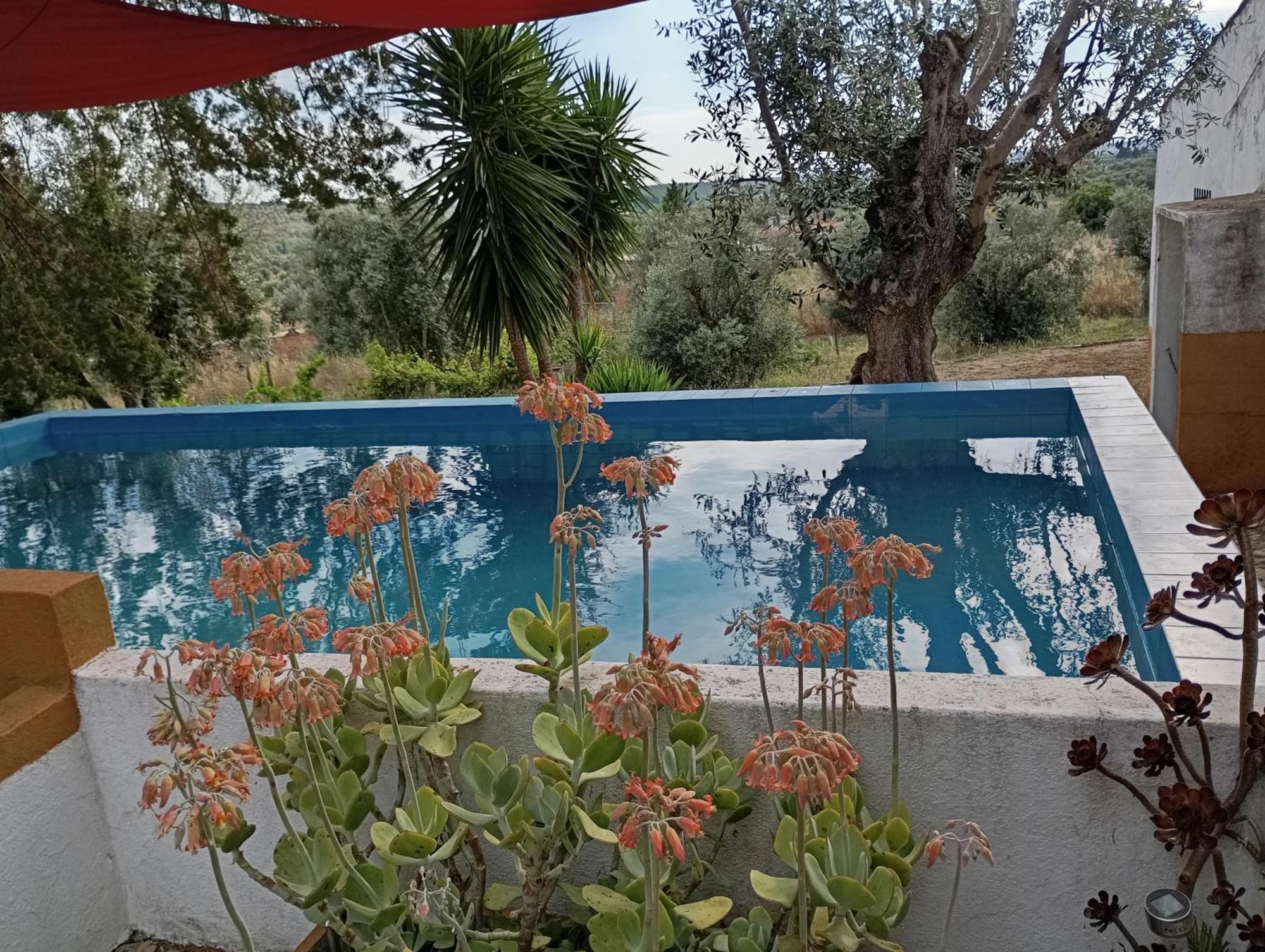 Villa Monte Da Samarra Avis Exterior foto