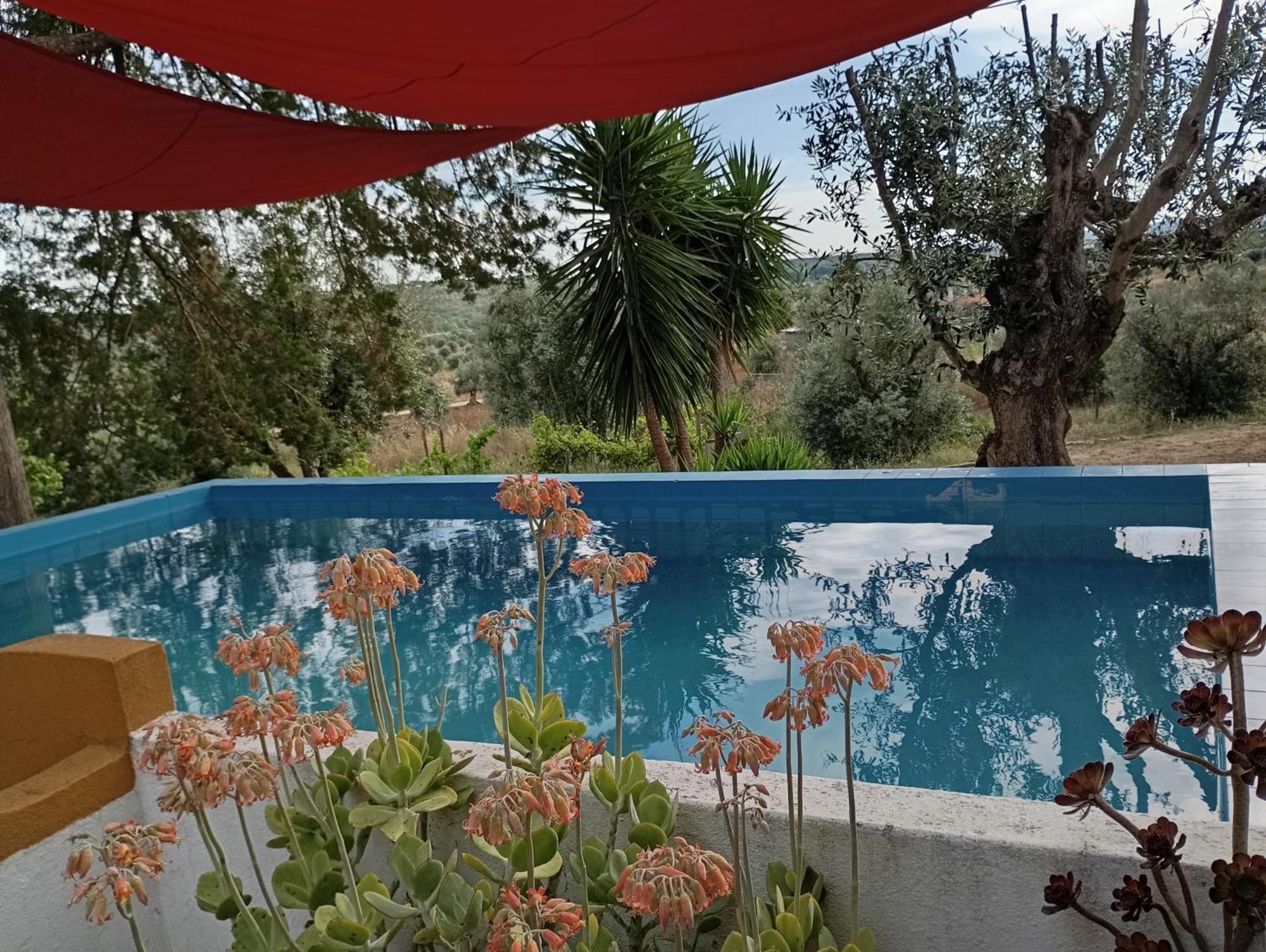 Villa Monte Da Samarra Avis Exterior foto